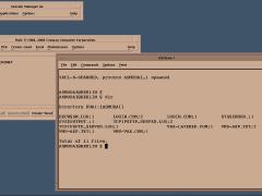 OpenVMS 7.3 VAX with Motif DECwindows